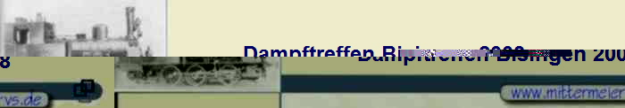                        Dampftreffen Bisingen 2008